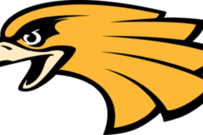 drawing of the Crookston mascot the Golden Eagle